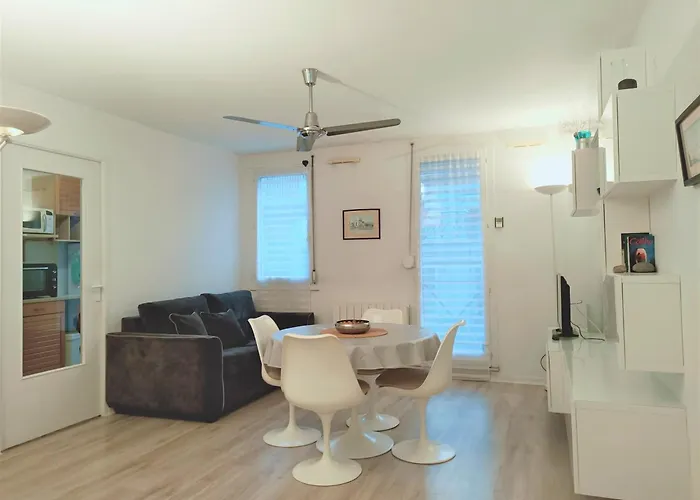 アパート Studio Moderne Et Lumineux Avec Parking Couvert, Animaux Acceptes - Fr-1-555-6 *